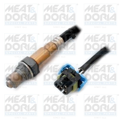 Oxygen Sensor